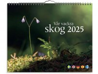 Väggkalender Vår vackra skog 2025