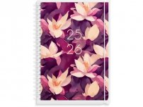 Kalender Study 4i1 A5 25/26