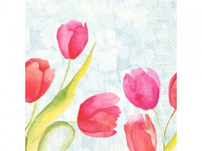 Servetter Tulips 3-lags 40X40cm 250/fp