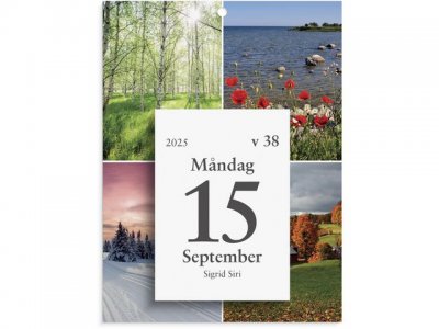 Väggplån med dagblock Årstider 2025