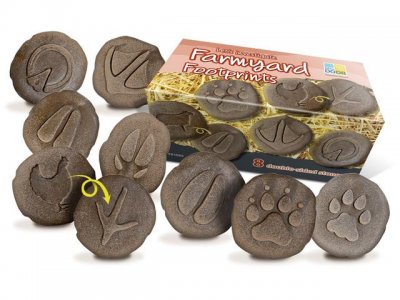 Undersök Fotspår fr bondgården sten 8/fp