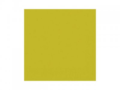 Servett DUNI 1-lags 33x33cm Kiwi 500/FP