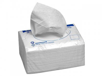 Torkduk EASITEX 40 30x38cm 500ark 2/FP