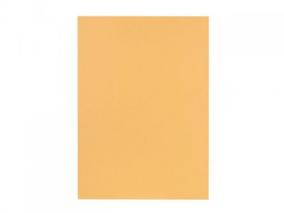 Mapp EXACOMPTA utan klaff A4 beige
